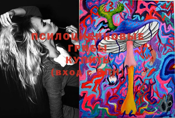 ГАЛЛЮЦИНОГЕННЫЕ ГРИБЫ Абинск